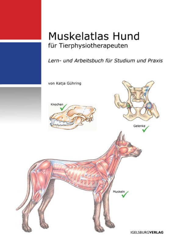 Muskelatlas Hund, Katja Gühring, Lern und Arbeitsbuch für